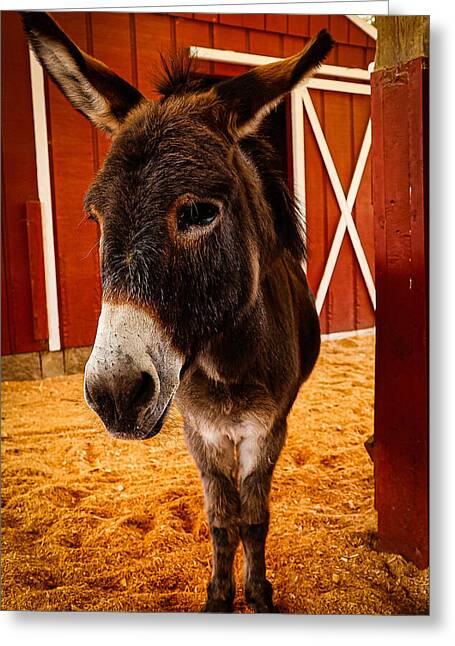 Who are you looking at - Greeting Card