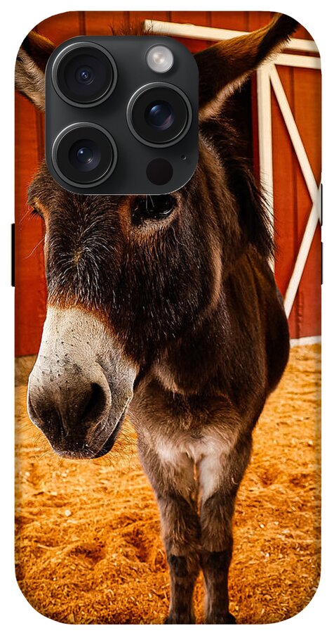 Who are you looking at - Phone Case