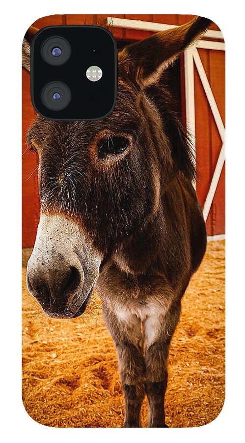 Who are you looking at - Phone Case