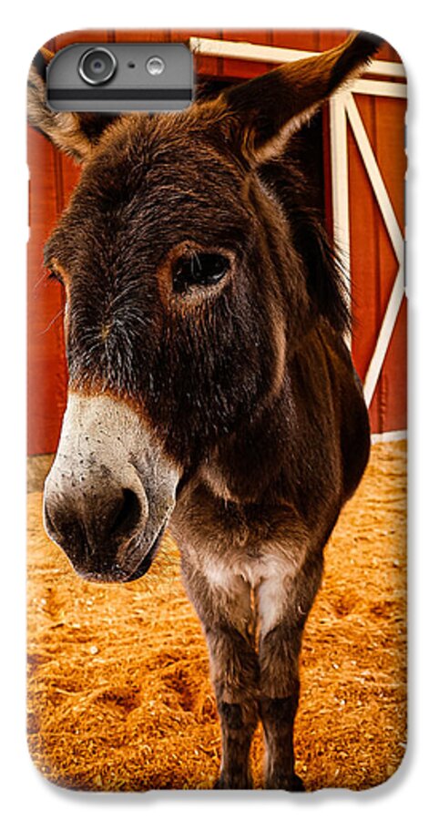 Who are you looking at - Phone Case