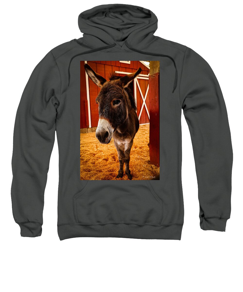 Who are you looking at - Sweatshirt