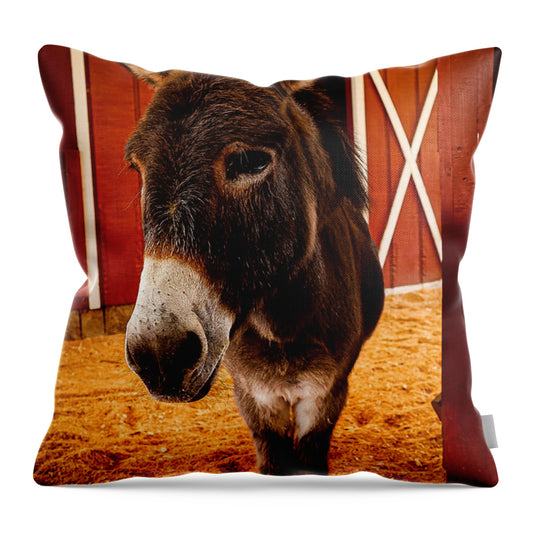 Who are you looking at - Throw Pillow