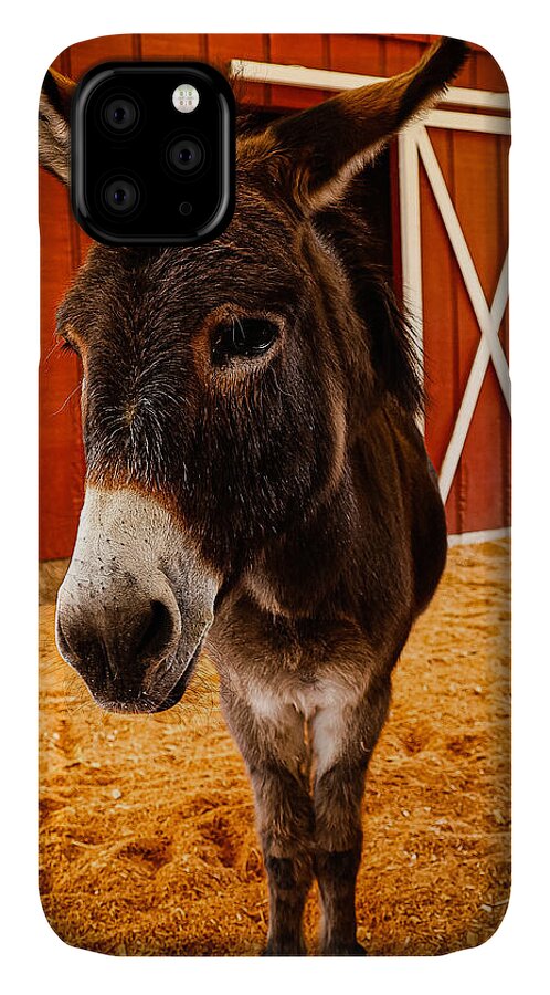 Who are you looking at - Phone Case