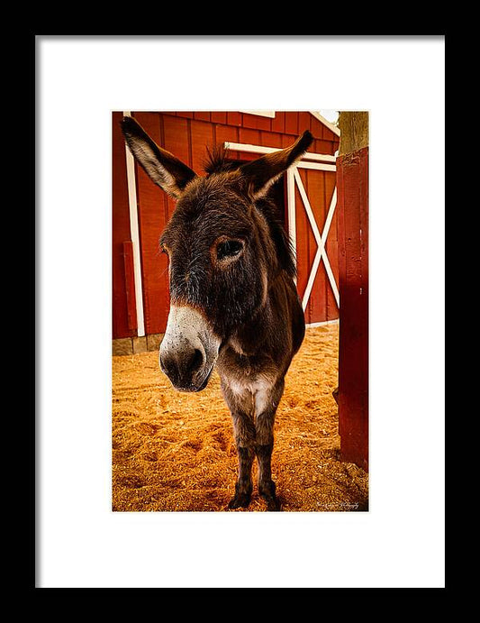 Who are you looking at - Framed Print