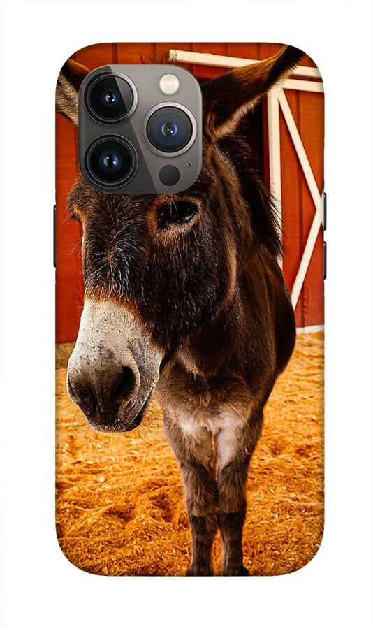 Who are you looking at - Phone Case