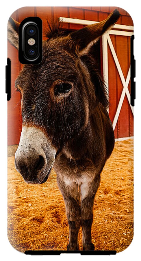 Who are you looking at - Phone Case
