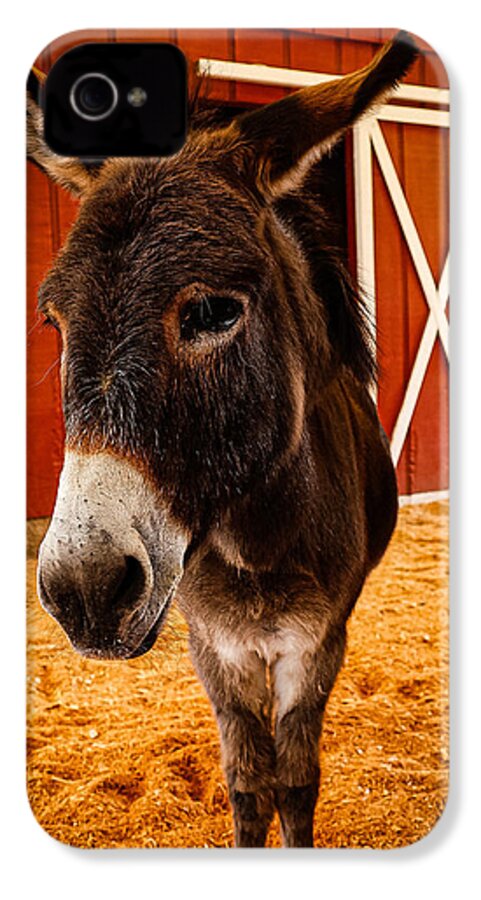 Who are you looking at - Phone Case
