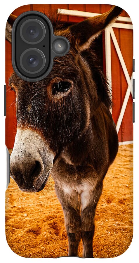 Who are you looking at - Phone Case