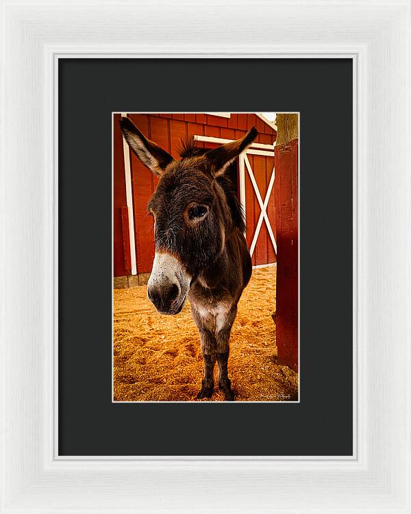 Who are you looking at - Framed Print
