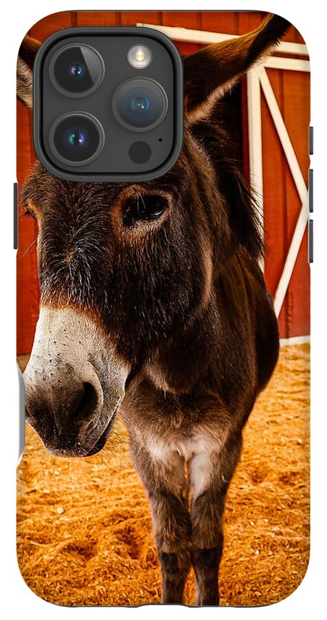 Who are you looking at - Phone Case