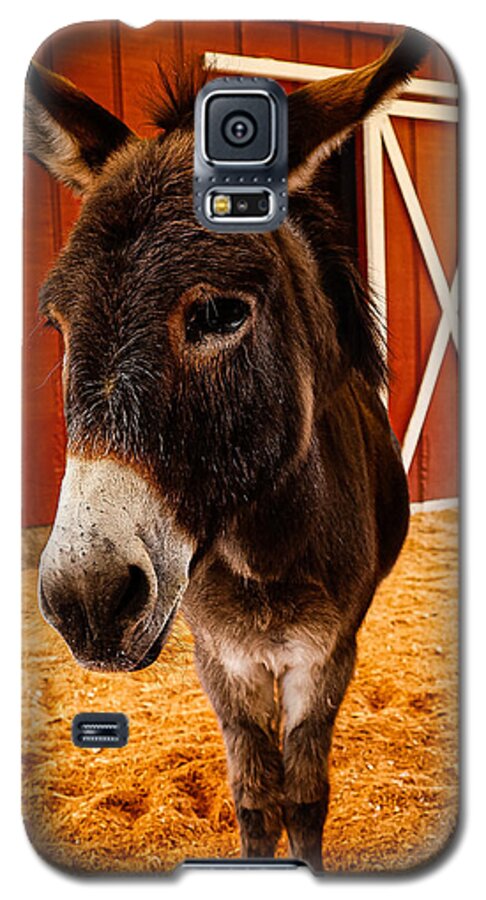 Who are you looking at - Phone Case
