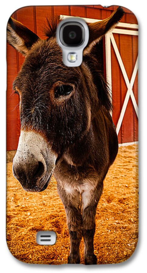 Who are you looking at - Phone Case