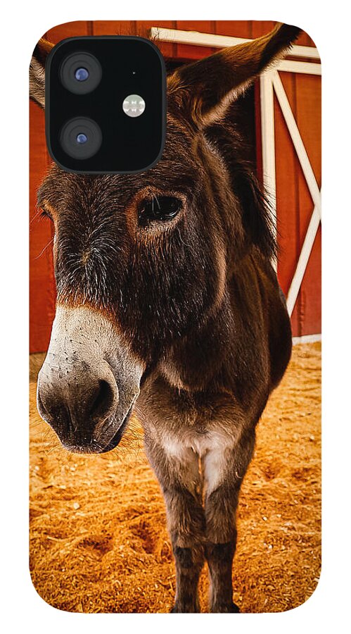 Who are you looking at - Phone Case