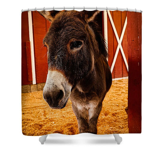 Who are you looking at - Shower Curtain