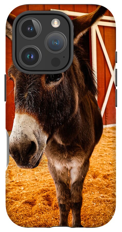 Who are you looking at - Phone Case