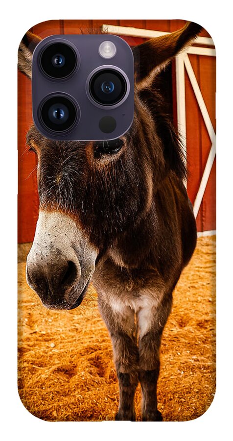 Who are you looking at - Phone Case