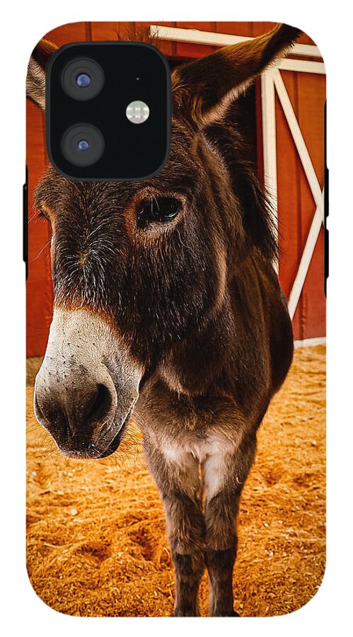 Who are you looking at - Phone Case