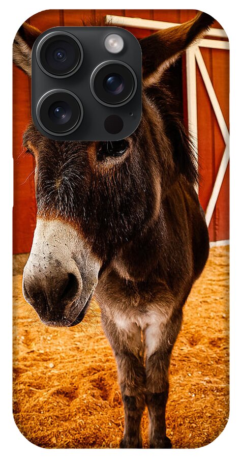Who are you looking at - Phone Case