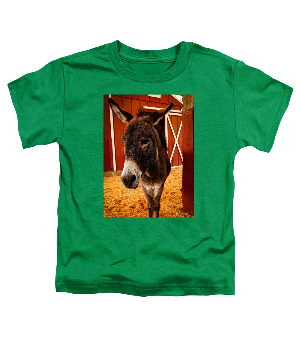 Who are you looking at - Toddler T-Shirt