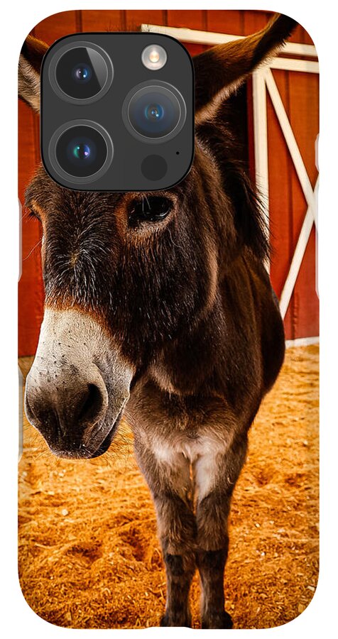 Who are you looking at - Phone Case