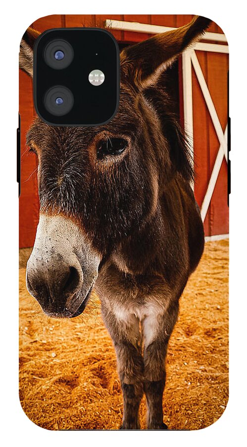 Who are you looking at - Phone Case