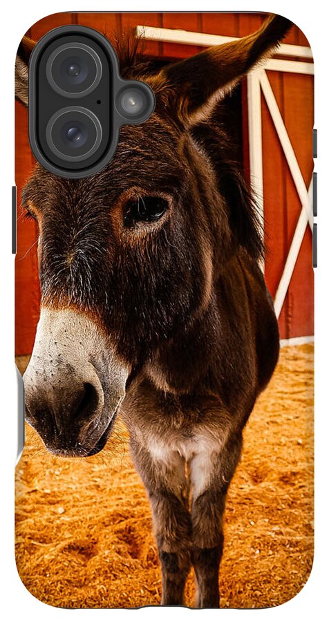Who are you looking at - Phone Case