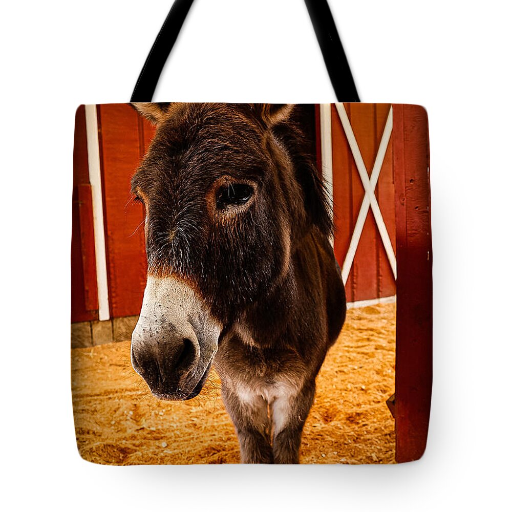 Who are you looking at - Tote Bag