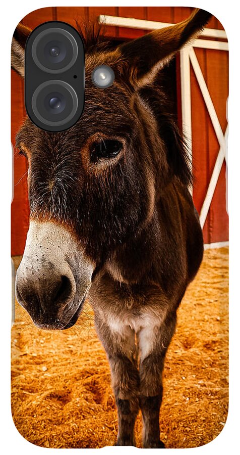 Who are you looking at - Phone Case