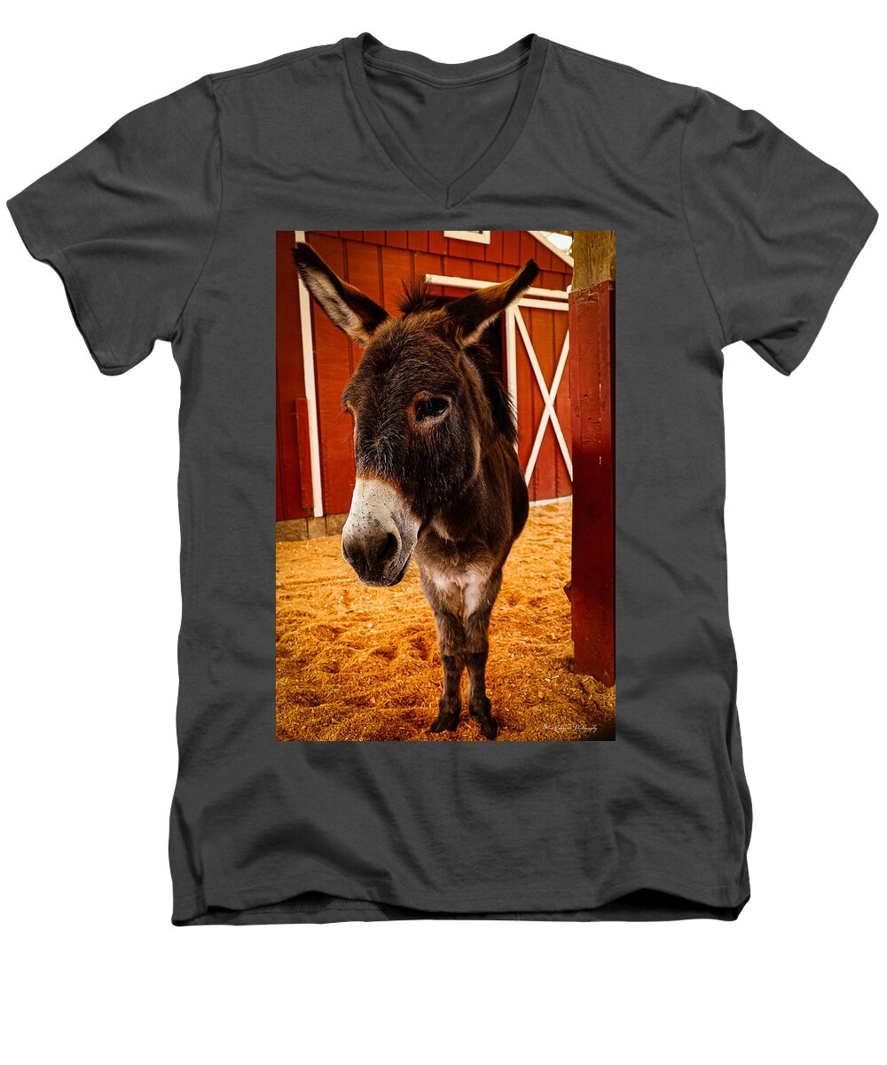 Who are you looking at - Men's V-Neck T-Shirt