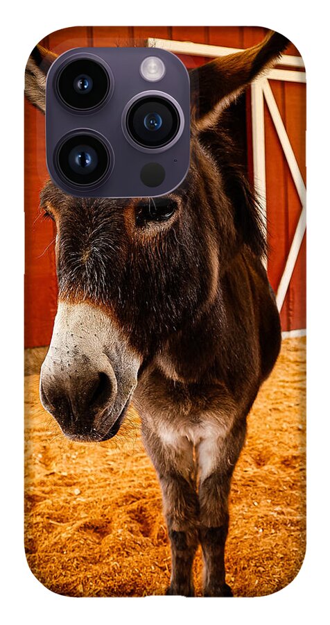 Who are you looking at - Phone Case