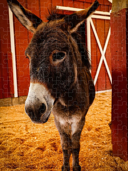Who are you looking at - Puzzle