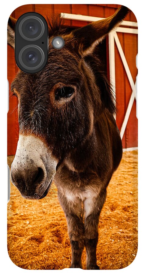 Who are you looking at - Phone Case
