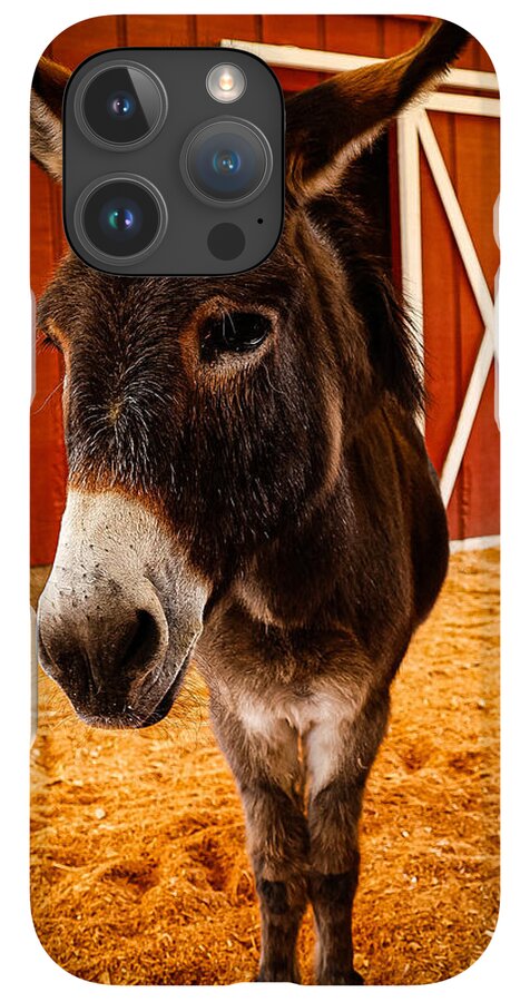 Who are you looking at - Phone Case
