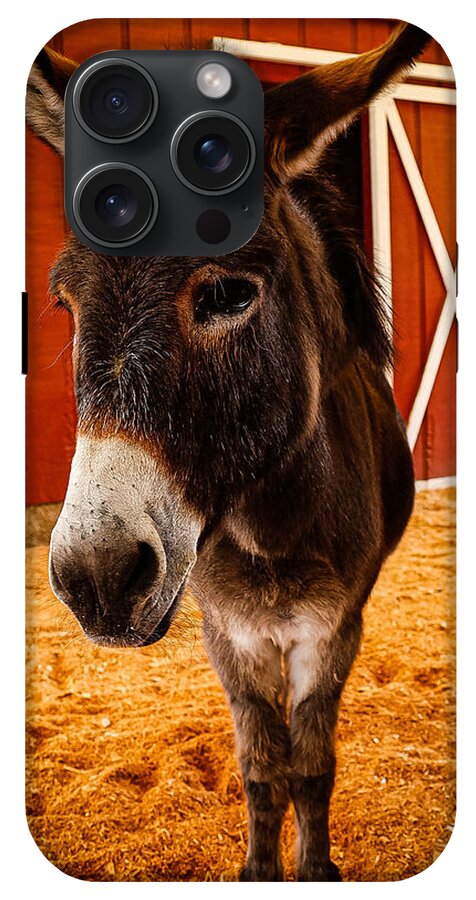 Who are you looking at - Phone Case