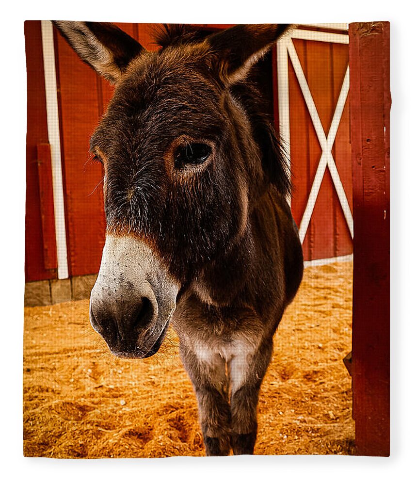Who are you looking at - Blanket