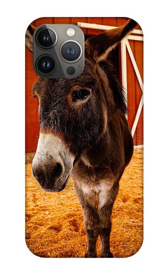 Who are you looking at - Phone Case