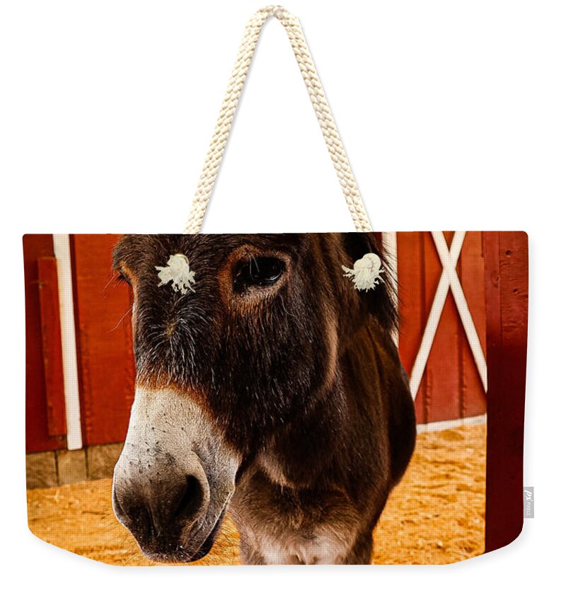 Who are you looking at - Weekender Tote Bag