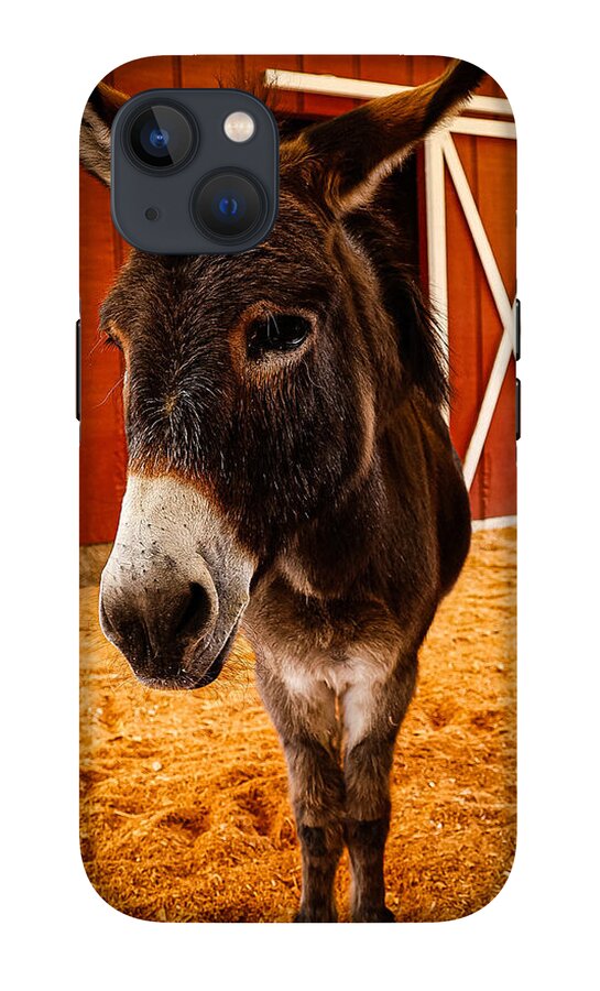 Who are you looking at - Phone Case