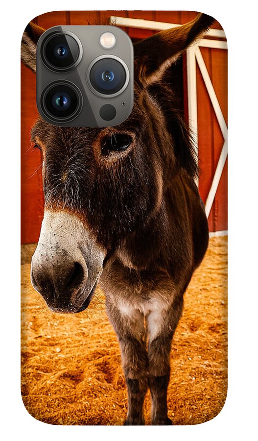 Who are you looking at - Phone Case
