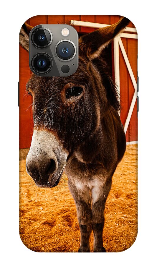 Who are you looking at - Phone Case