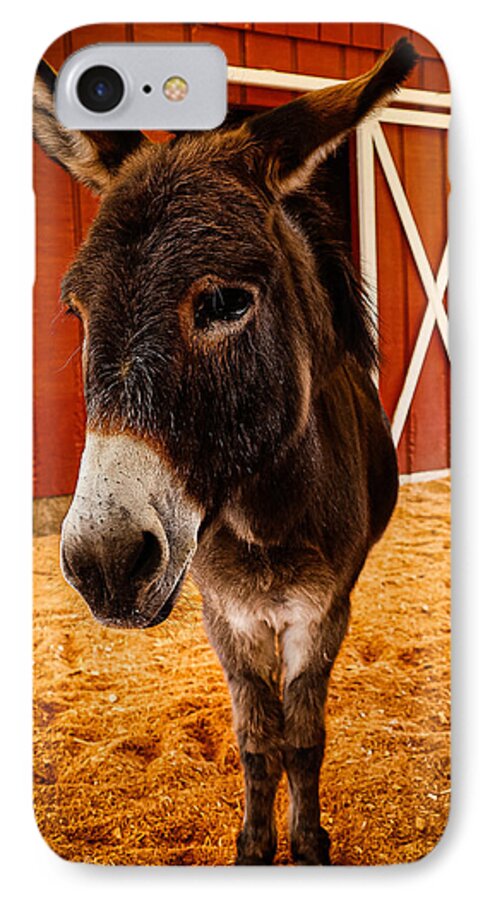 Who are you looking at - Phone Case