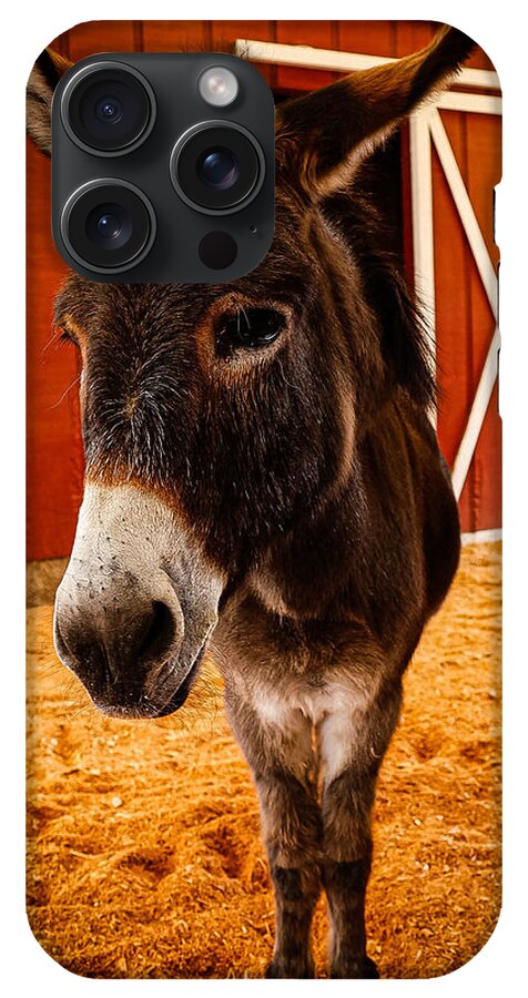 Who are you looking at - Phone Case