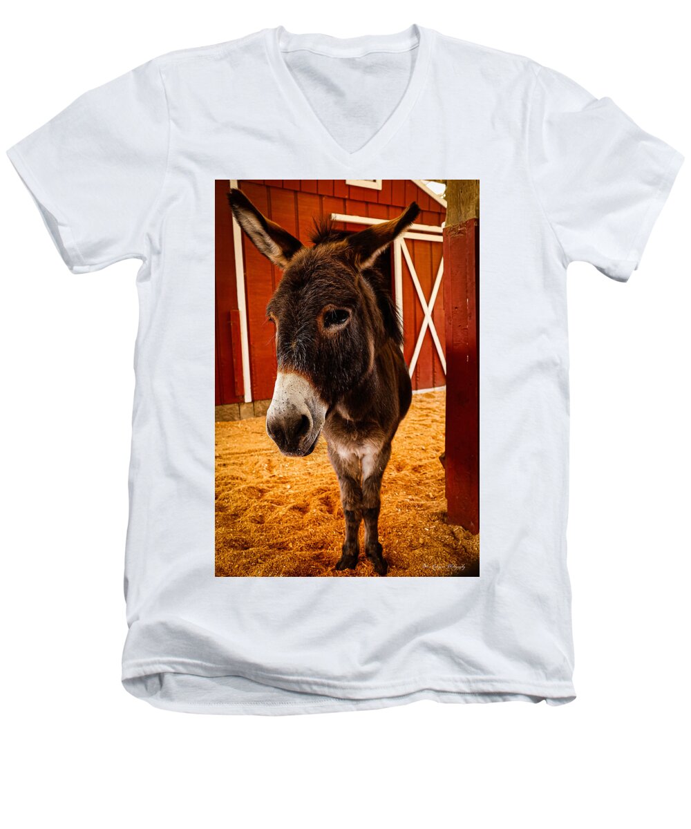Who are you looking at - Men's V-Neck T-Shirt