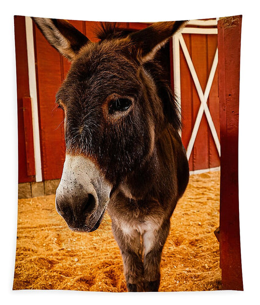 Who are you looking at - Tapestry
