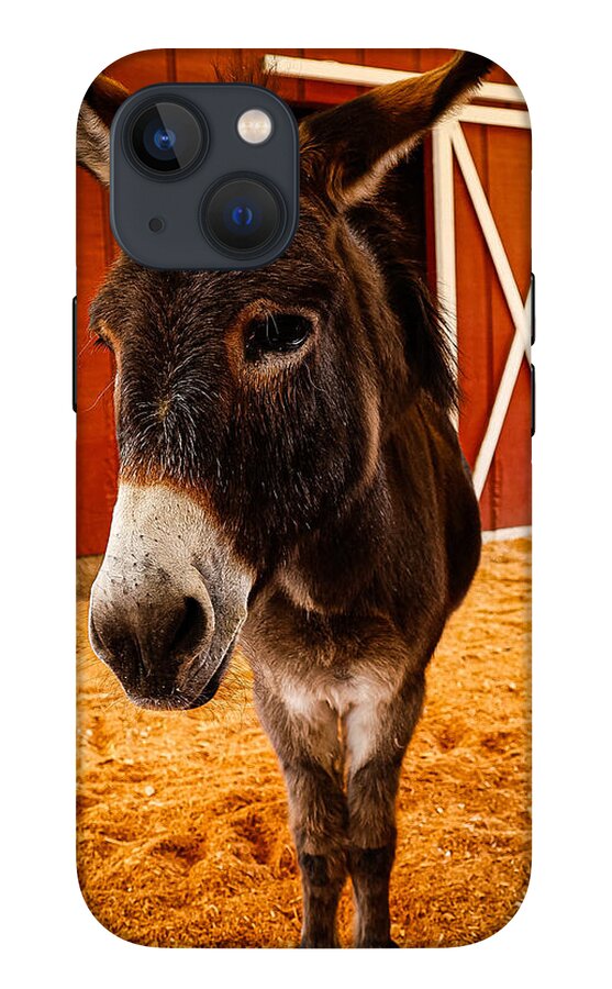 Who are you looking at - Phone Case