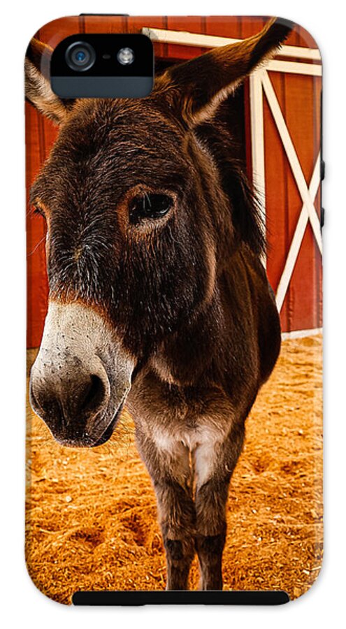 Who are you looking at - Phone Case