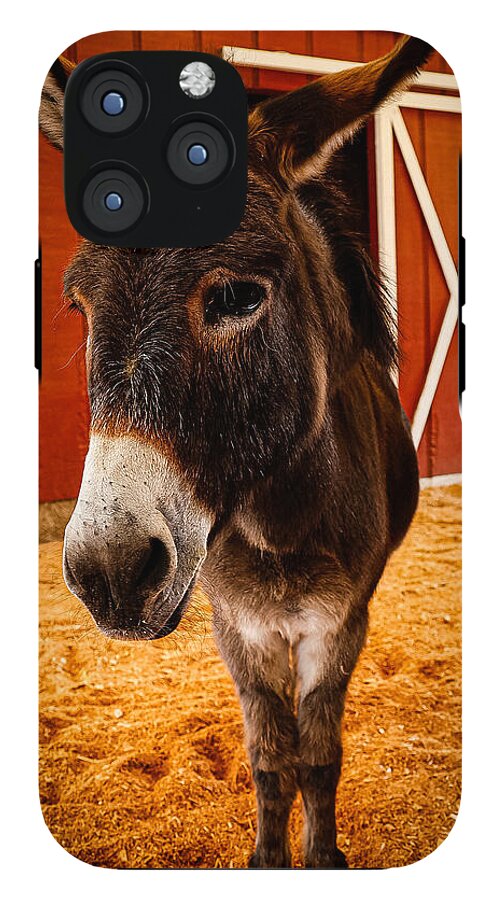 Who are you looking at - Phone Case