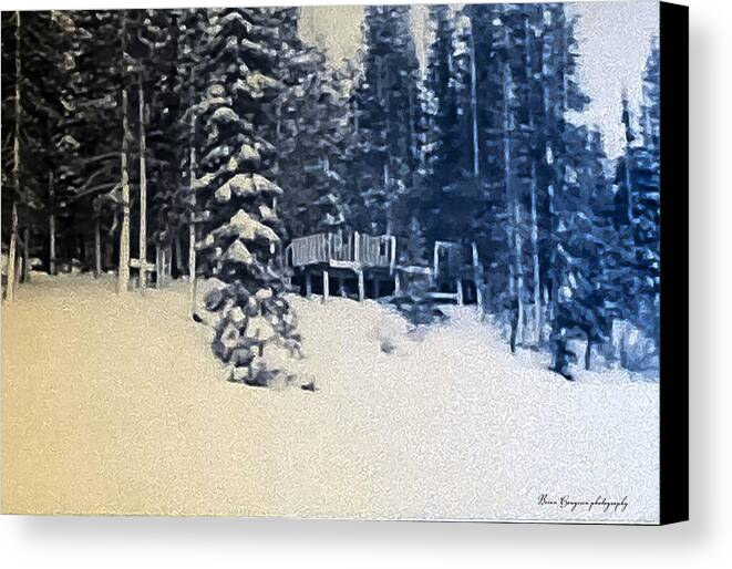Winter  - Canvas Print