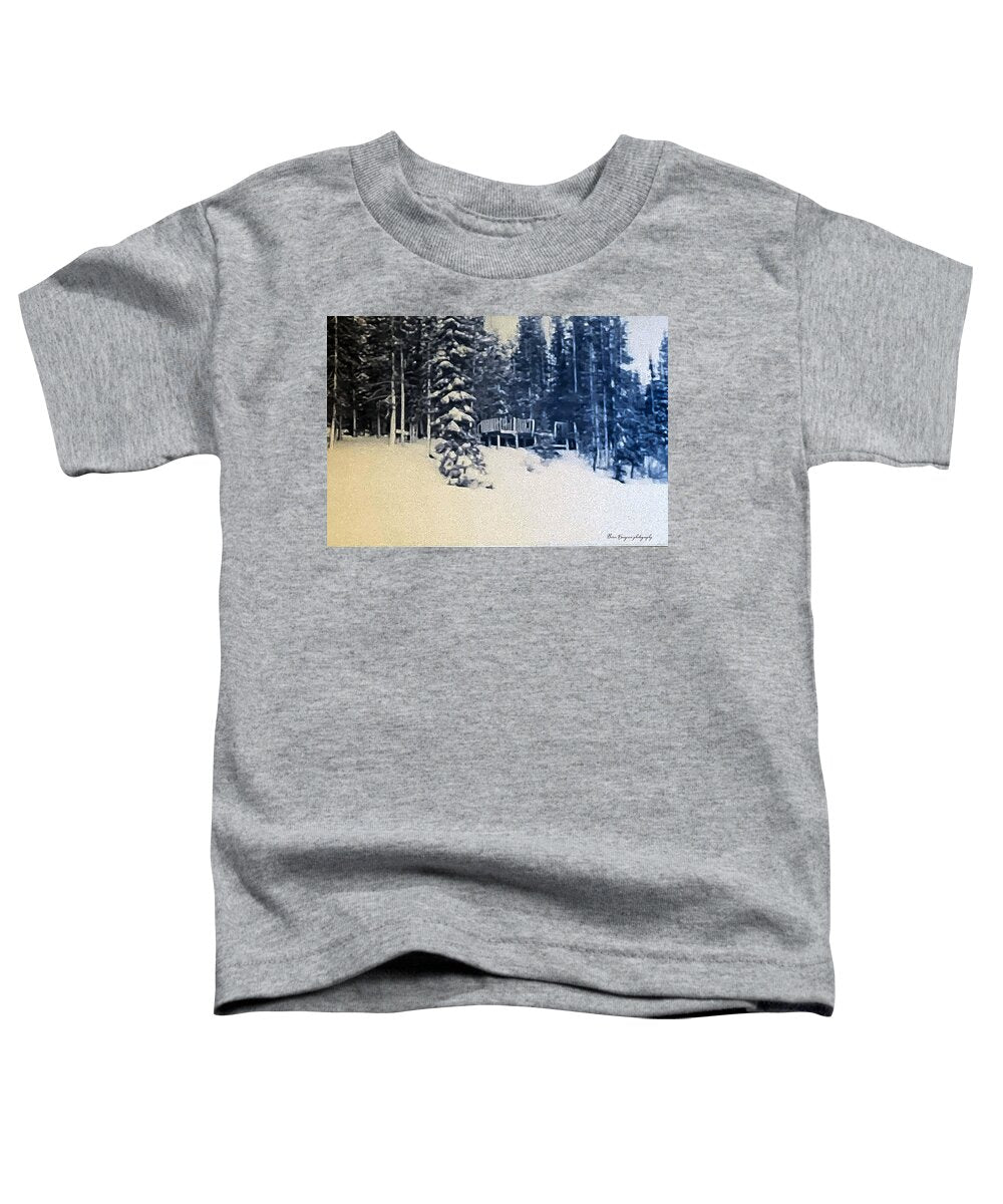 Winter  - Toddler T-Shirt