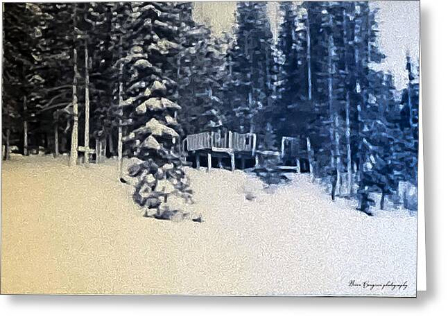Winter  - Greeting Card